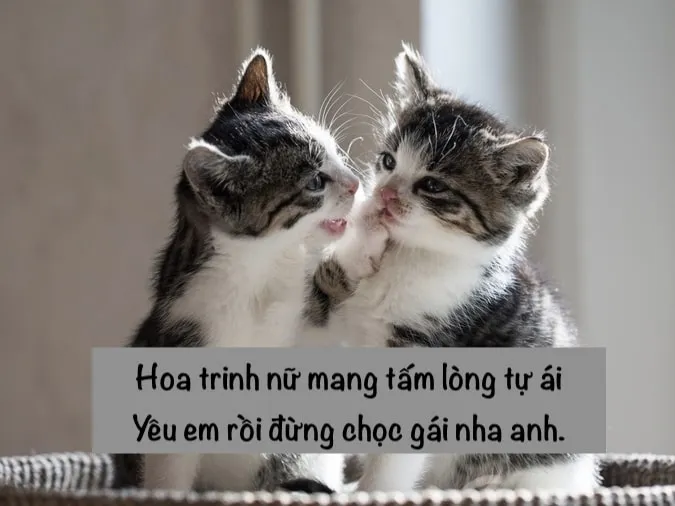 Thơ chế tình yêu hài hước, phản ánh tâm trạng lứa đôi trẻ