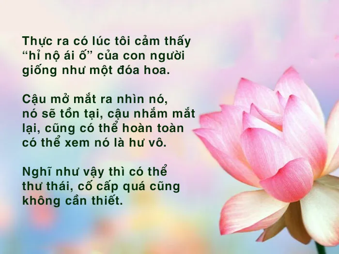 Những câu nói ý nghĩa về hỉ nộ ái ố và cuộc sống con người