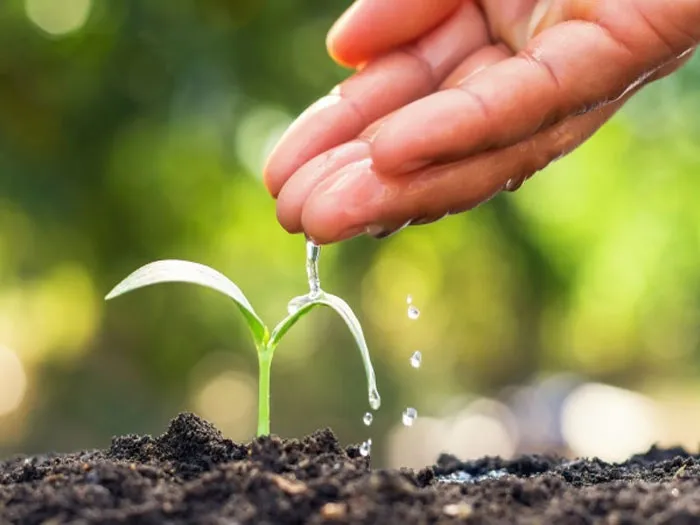 Hình ảnh một nhóm người đang nắm tay nhau, biểu tượng cho sự đoàn kết, lòng khoan dung và việc xây dựng mối quan hệ bền vững dựa trên phẩm chất cao thượng