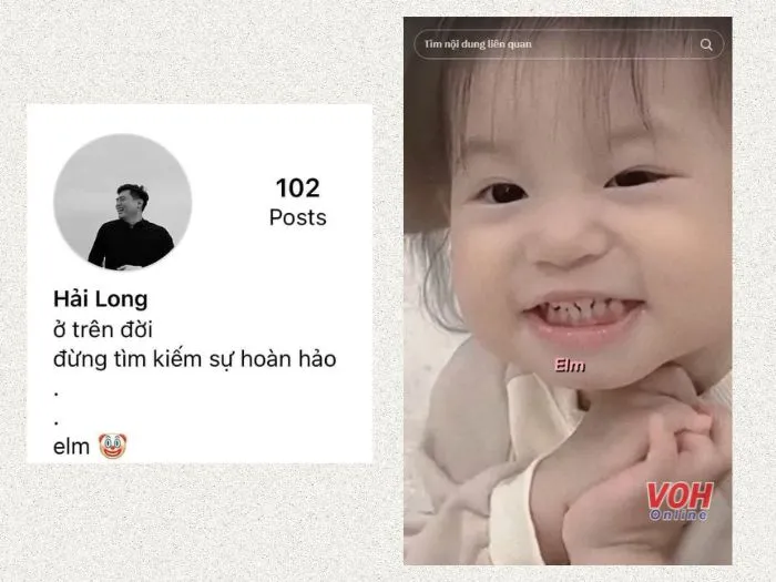 Ảnh chụp màn hình hiển thị kết quả tìm kiếm và lượt xem của từ lóng "Elm" trên các nền tảng mạng xã hội
