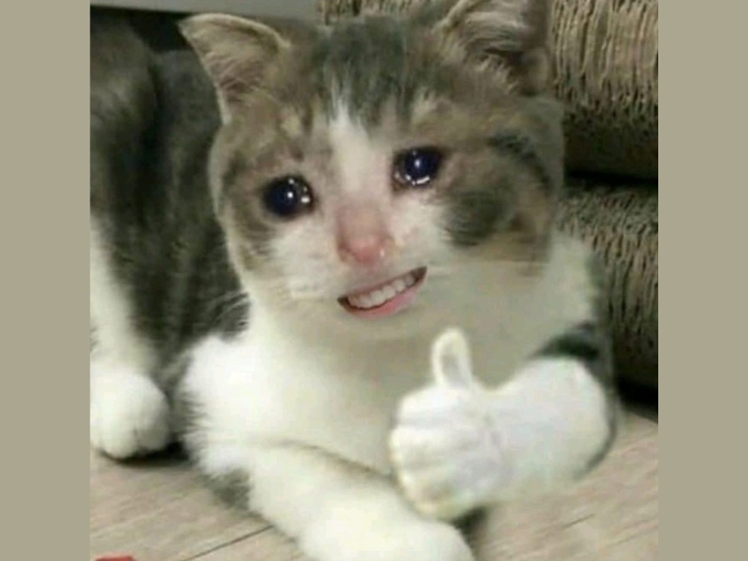 Meme Gwenchana phản ánh sự bất lực trong công việc hoặc học tập, được Gen Z ưa chuộng