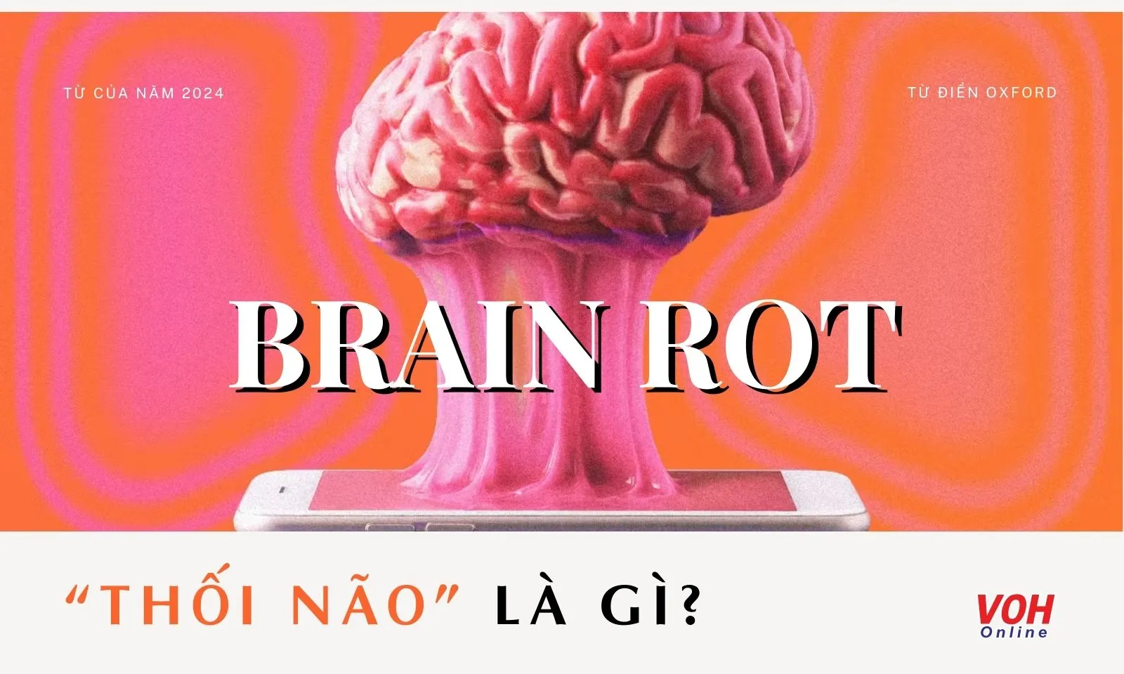 Phân tích Brain rot - Thối não là gì và những tác động tiêu cực tới thế hệ trẻ