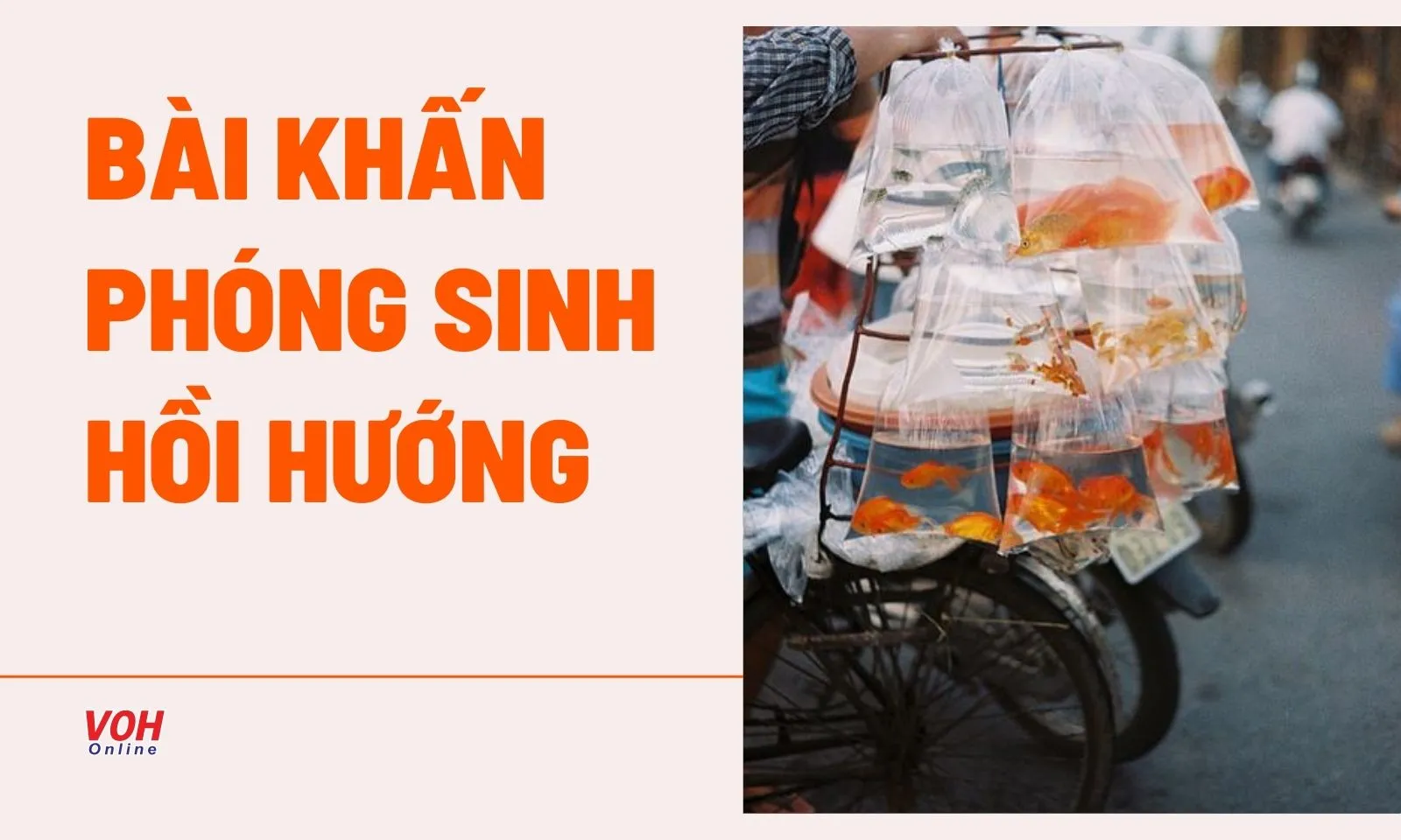 Tổng hợp bài khấn nguyện phóng sinh hồi hướng công đức