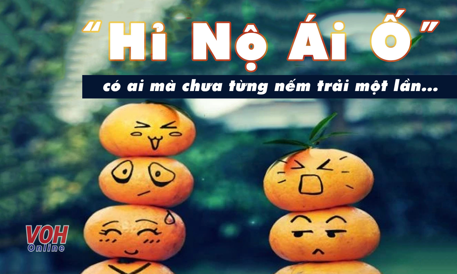 Biểu đồ minh họa các trạng thái cảm xúc của con người, bao gồm hỉ nộ ái ố và các mức độ của sự bấn