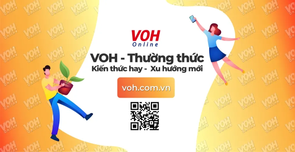 Cộng đồng mạng thảo luận về khái niệm bấn trên các nền tảng mạng xã hội, thể hiện sự tương tác và quan điểm của Gen Z