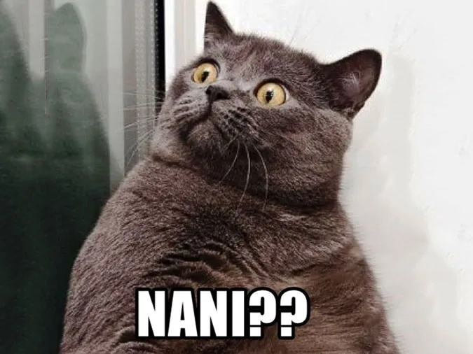 Hình ảnh meme "nà ní" được sử dụng để troll bạn bè trên các nền tảng mạng xã hội