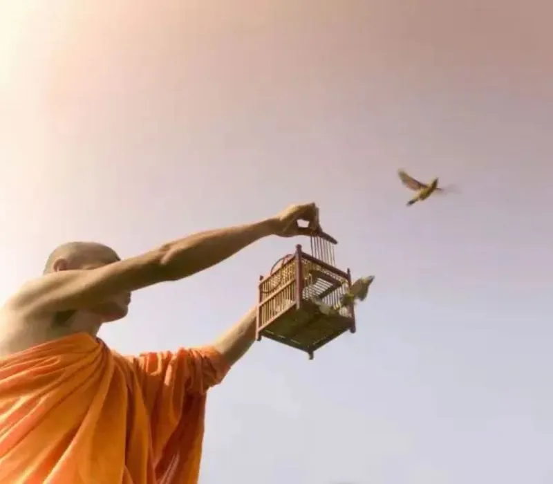 Phật tử chắp tay thành tâm tụng niệm bài khấn phóng sinh hồi hướng sau khi hoàn tất nghi lễ