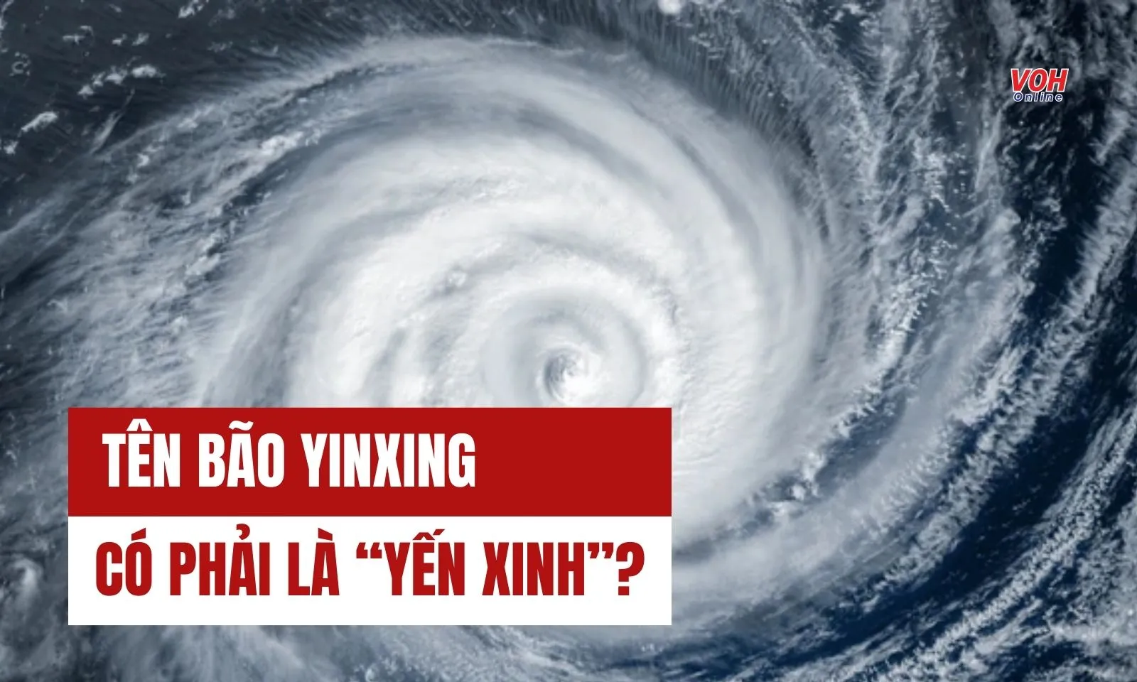 Xu hướng ngôn ngữ và các thuật ngữ mới nổi trong cộng đồng Gen Z, bao gồm lò vi sóng