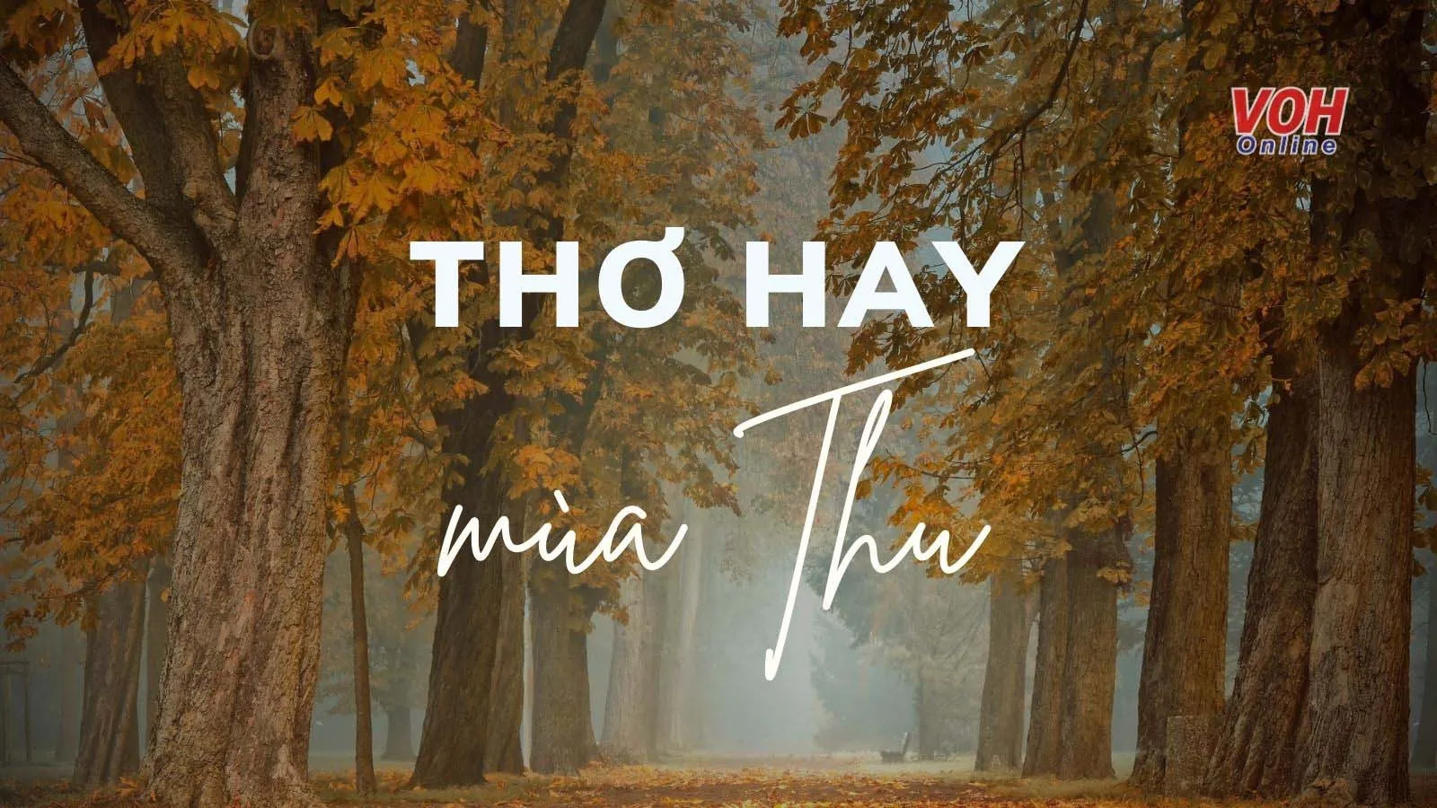 Tổng hợp những bài thơ trữ tình, dạt dào cảm xúc về mùa thu, một chủ đề liên quan đến các sự kiện và ngày lễ tháng 9.