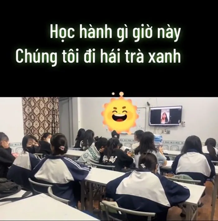 Sức hút của drama Matcha hunter trên các nền tảng mạng xã hội thu hút sự chú ý của giới trẻ