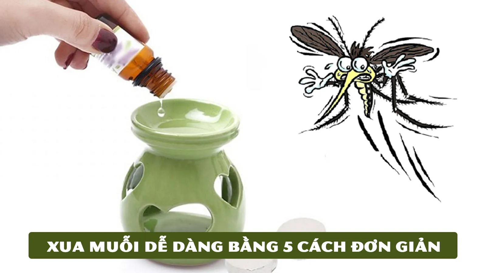 Các biện pháp phòng tránh muỗi đốt tự nhiên: Cây sả và tinh dầu đuổi muỗi
