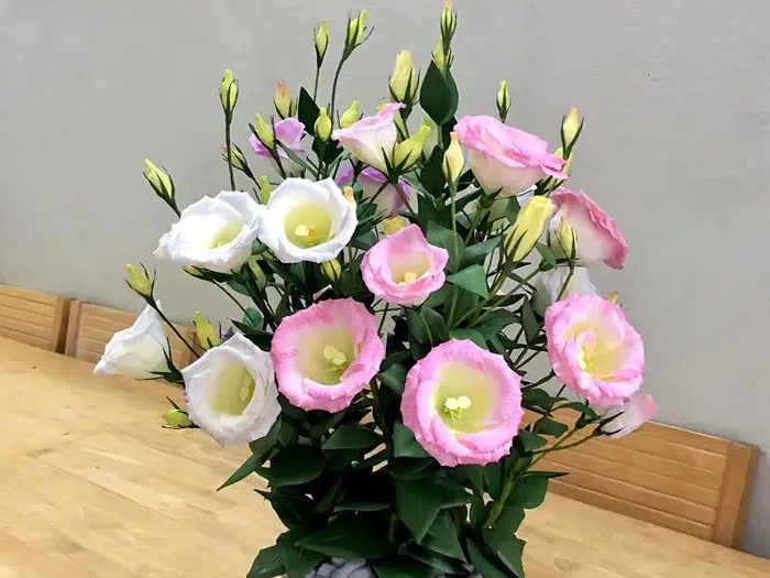 Trưng hoa Cát Tường mang ý nghĩa may mắn, cát tường cho gia đình