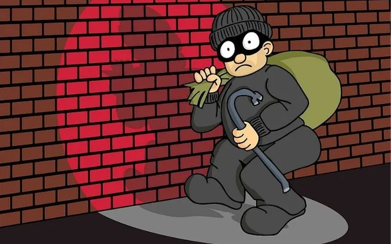 Tháng củ mật nghĩa là tháng cẩn thận bảo vệ tài sản - Ảnh: Internet