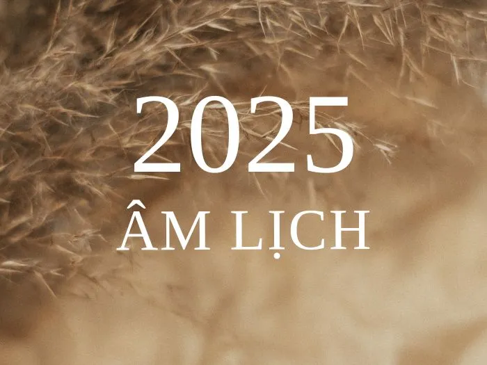Năm Ất Tỵ 2025 là năm nhuận theo Âm lịch