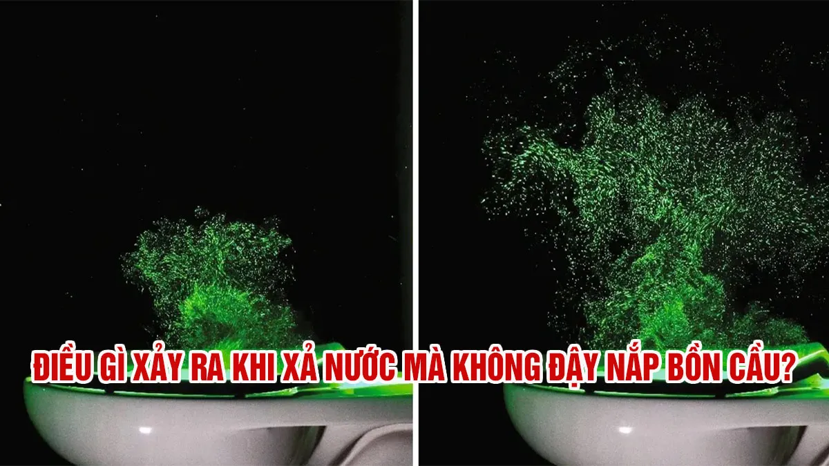 Nắp bồn cầu đang được đậy, minh họa tầm quan trọng của vệ sinh cá nhân và môi trường sống lành mạnh để giảm thiểu các yếu tố gây căng thẳng hoặc bệnh tật có thể dẫn đến đau đầu