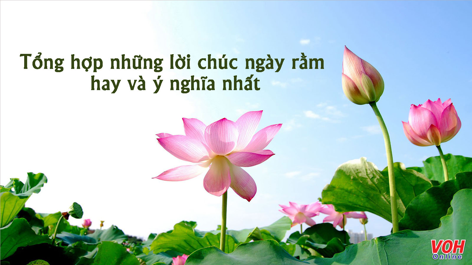 Hình ảnh tượng trưng cho sự gắn kết gia đình và cộng đồng trong những dịp lễ, khi văn khấn gia tiên được thực hiện để cầu bình an.