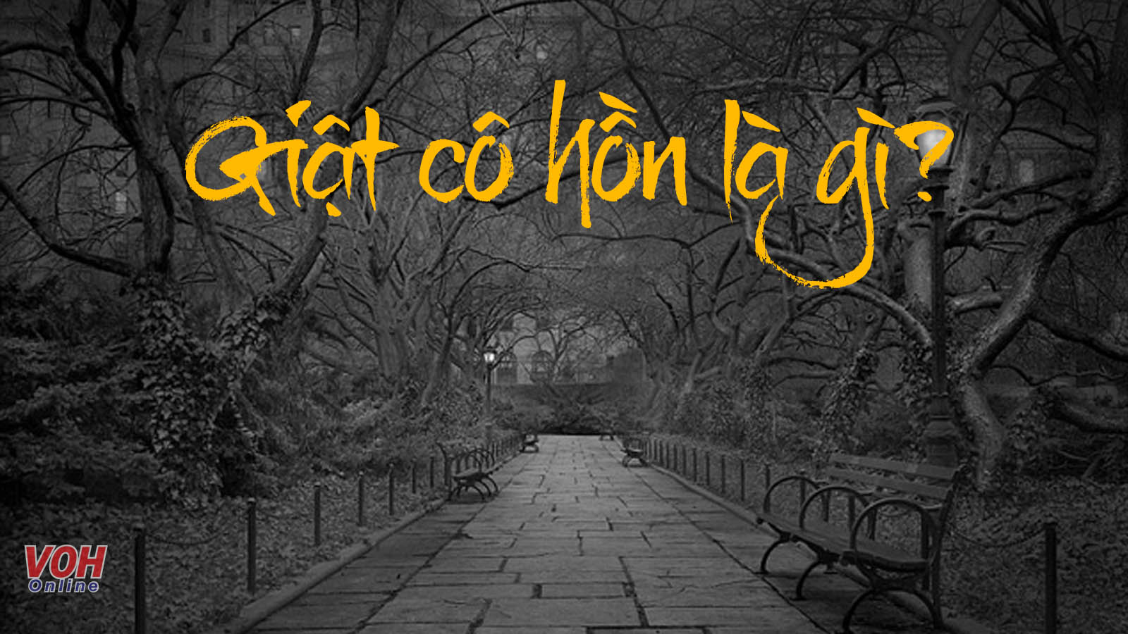Mâm cúng cô hồn với các lễ vật truyền thống trong phong tục giật cô hồn ngày rằm tháng 7, bổ sung ý nghĩa cho nghi lễ văn khấn gia tiên.