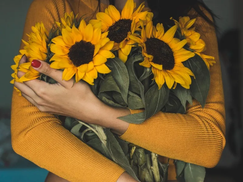 Bó hoa hướng dương rực rỡ, tượng trưng cho hy vọng và thành công, món quà tặng tốt nghiệp ý nghĩa.