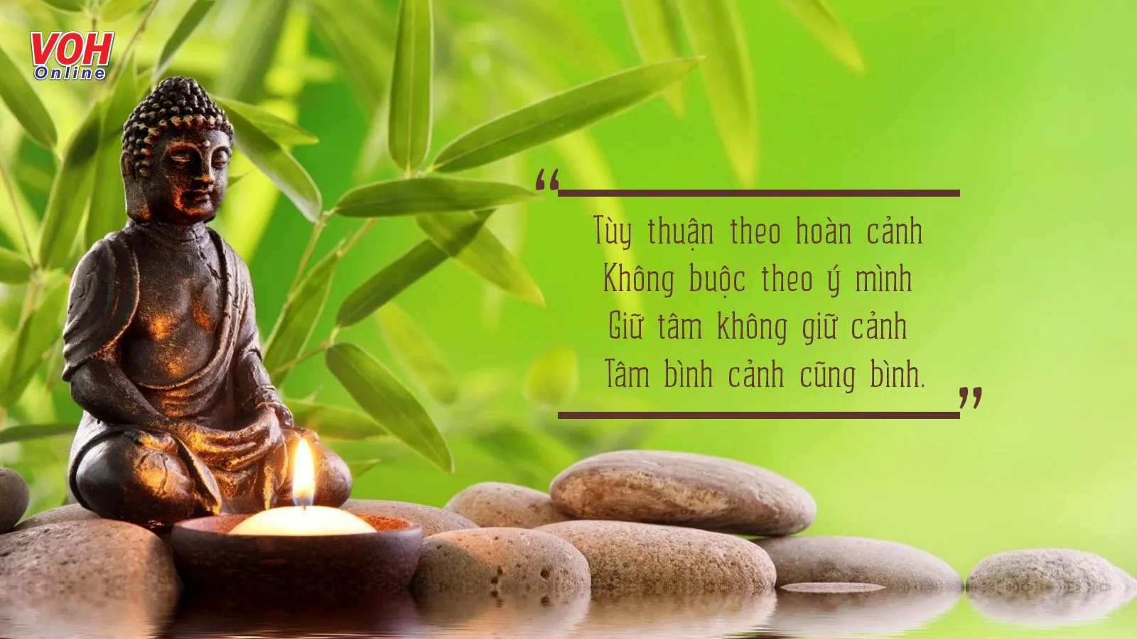 Hình ảnh hoạt động phóng sinh đúng cách, bảo vệ sinh linh và môi trường.