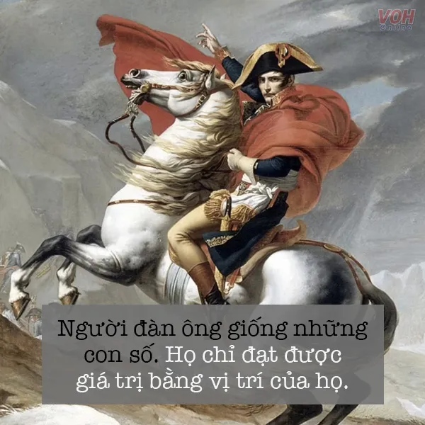 Hình ảnh Napoleon trên chiến trường, tượng trưng cho những câu nói hay về lãnh đạo và chiến thắng