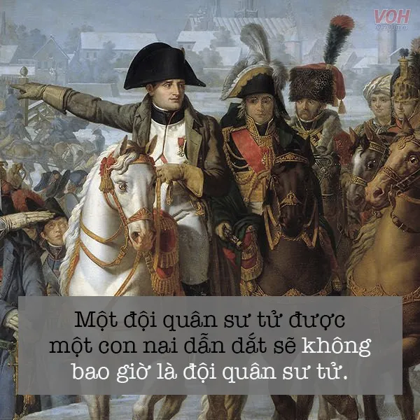 Chân dung Napoleon oai vệ, đại diện cho những triết lý sâu sắc của ông