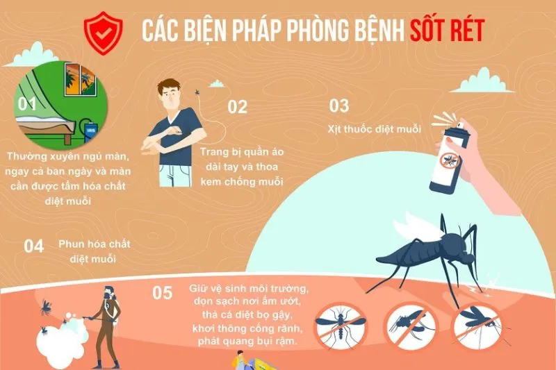 Ký sinh trùng Plasmodium và muỗi Anopheles: Nguyên nhân chính gây bệnh Sốt rét