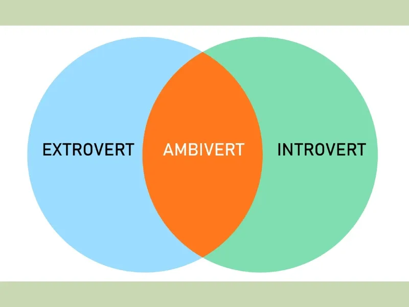Hình ảnh một người đang suy tư, thể hiện sự cân bằng của tính cách ambivert