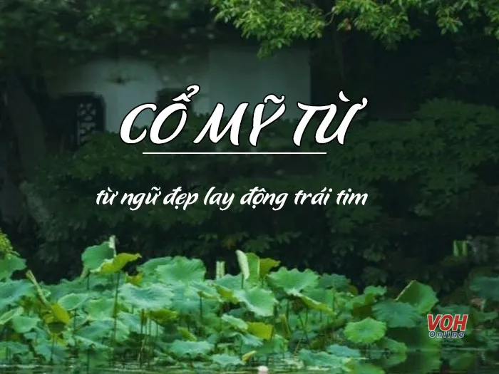 Định nghĩa cổ mỹ từ là gì qua hình ảnh minh họa về những từ ngữ đẹp cổ xưa của tiếng Việt