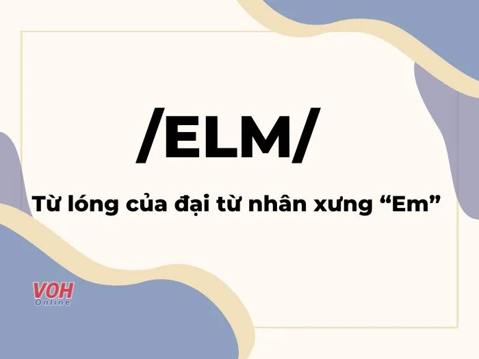 Giải mã ý nghĩa Elm: Từ lóng Gen Z từ bé Pam và gia đình