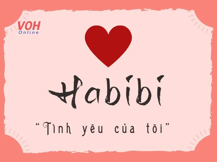 Ý nghĩa và cách dùng chuẩn xác của từ Habibi trong các mối quan hệ tình cảm và xã giao