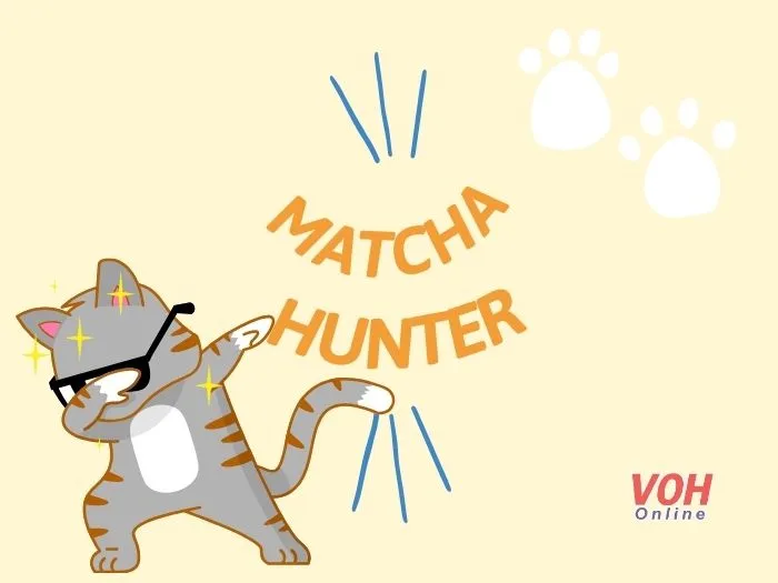 Người dùng trên mạng xã hội đang theo dõi xu hướng Matcha hunter và tìm kiếm ý nghĩa
