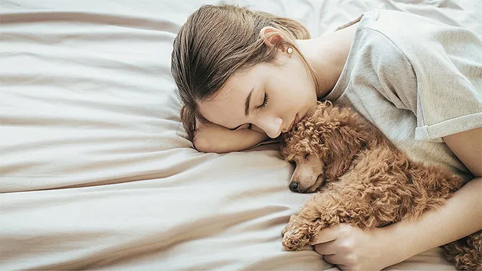 Người chủ đang ôm thú cưng khi ngủ trên giường, thể hiện sự gắn kết và thoải mái