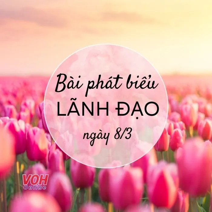 Người lãnh đạo đang phát biểu trong lễ kỷ niệm Quốc tế Phụ nữ 8/3, hình ảnh tiêu biểu cho các mẫu bài phát biểu 8/3 của lãnh đạo.