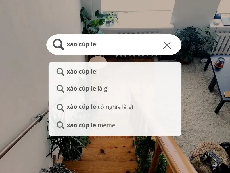 Giới trẻ tìm kiếm "xào cúp le là gì" trên mạng xã hội, phản ánh sự tò mò về thuật ngữ mới.