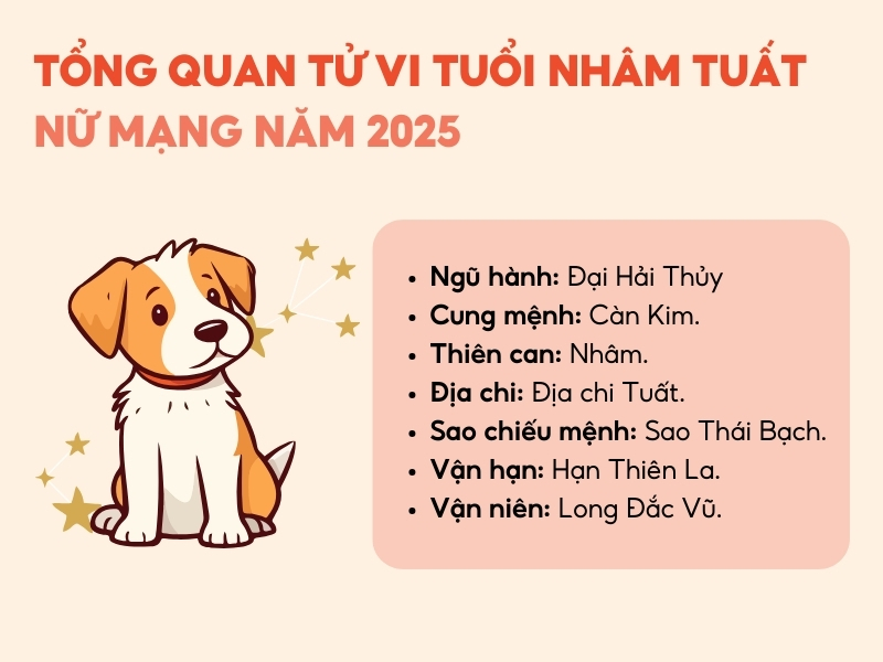 Tử vi tuổi Nhâm Tuất năm 2025