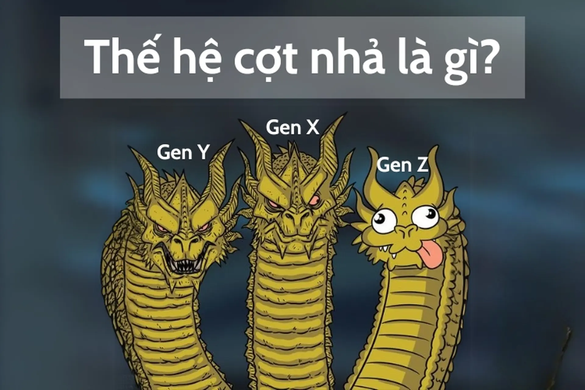 Gen Z sử dụng ngôn ngữ linh hoạt với meme và tiếng lóng trong giao tiếp