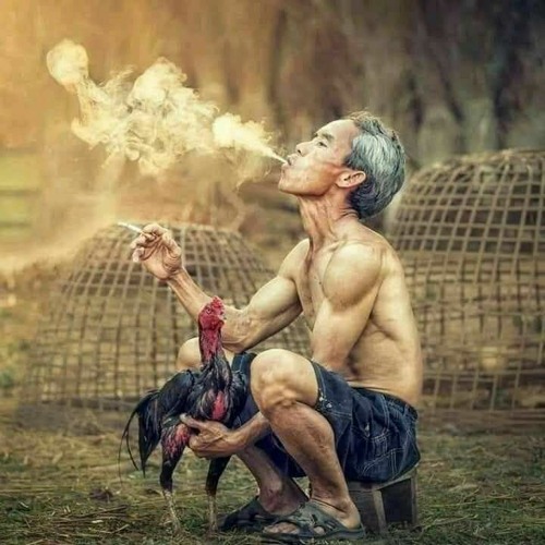 Ngôi sao âm nhạc với thiết bị DJ đang biểu diễn