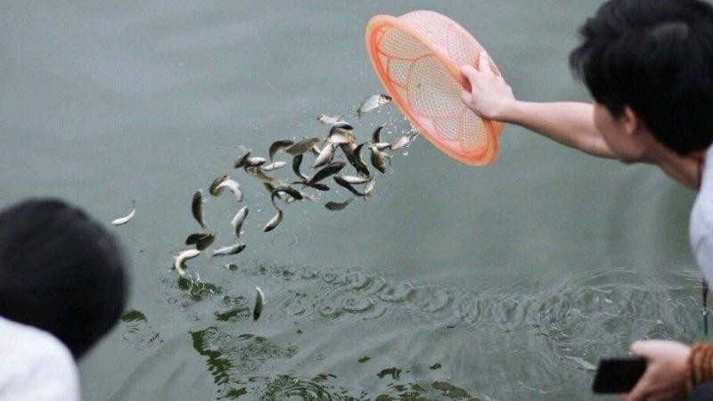 Bài Cúng Phóng Sinh Rằm Tháng Giêng