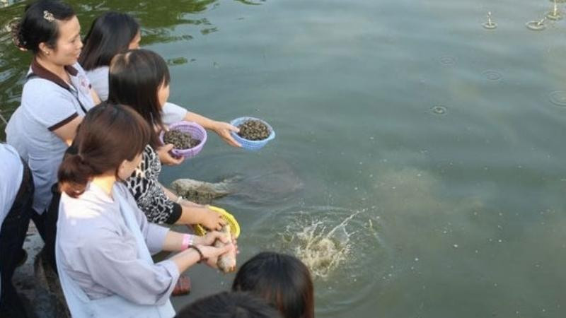 Bài Khấn Phóng Sinh Ốc