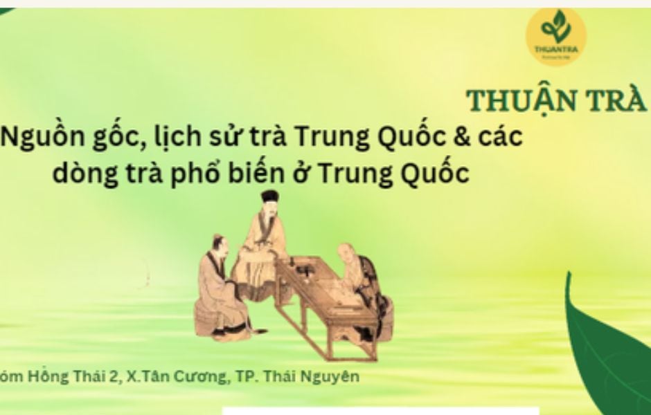 Cô gái với vẻ ngoài trong sáng nhưng ẩn chứa sự toan tính, biểu tượng của trà xanh