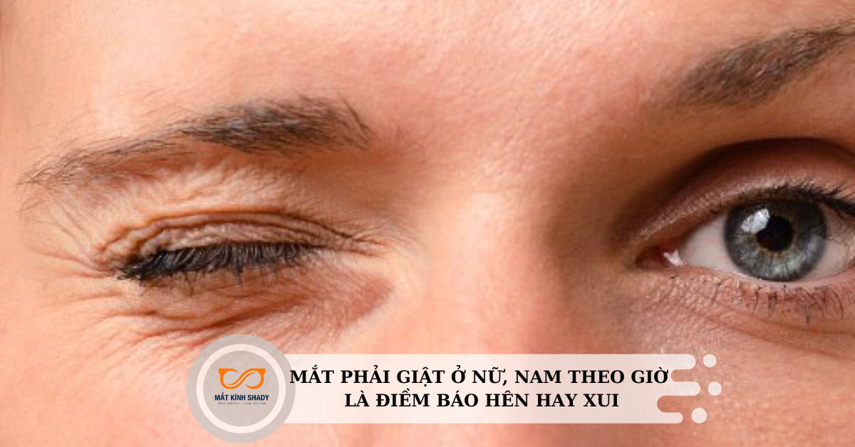 Sơ đồ minh họa nguyên nhân y học khiến mắt phải giật liên tục