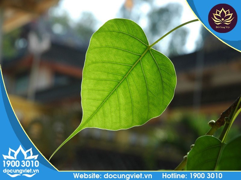 mẫu văn khấn lễ cúng tuần đầu