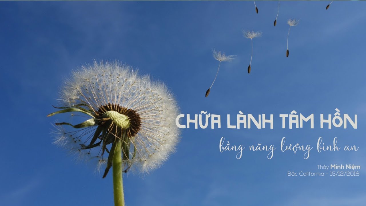Người phụ nữ đang ngồi thiền trong tư thế hoa sen, xung quanh là cây cỏ và ánh sáng mặt trời, tượng trưng cho sự bình yên và chữa lành tâm hồn