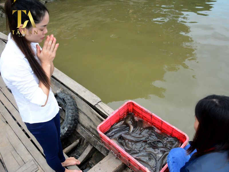 Một số điều gia chủ cần lưu ý về nghi thức và văn khấn phóng sinh