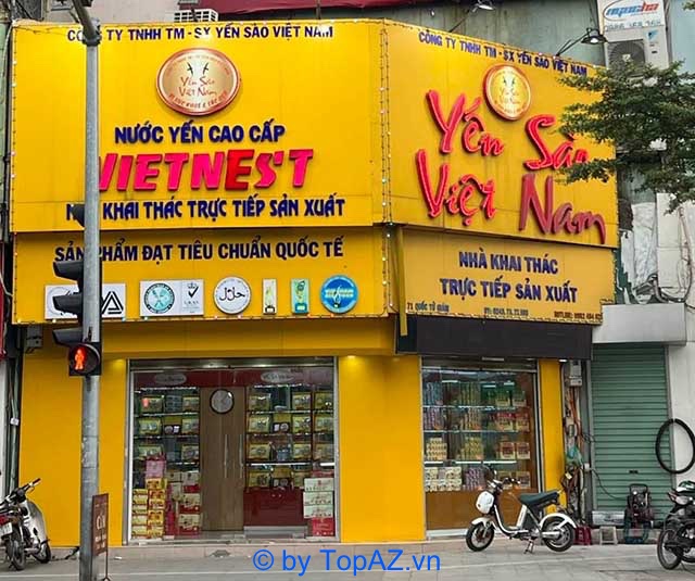 Hình ảnh chim yến và tổ yến sào