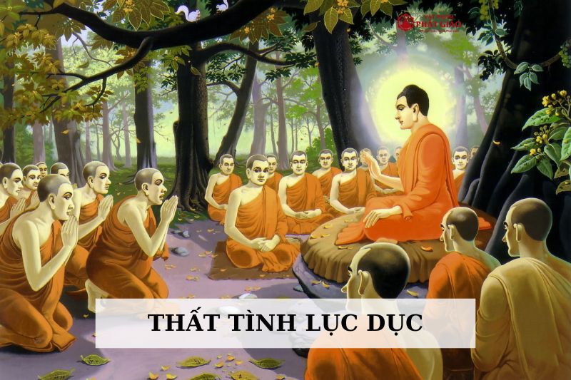 Sáu loại dục vọng và bảy sắc thái cảm xúc chi phối đời sống