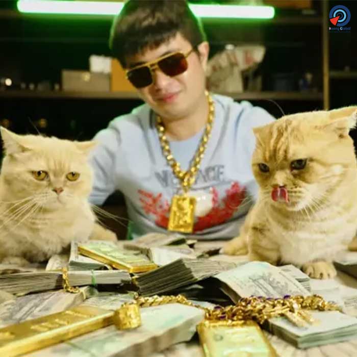 Hợp tác và phát triển kinh doanh, lan tỏa giá trị Việt Nam cùng Tiktoker Will in Vietnam