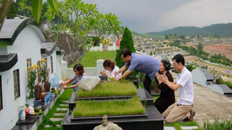 Tảo mộ là gì?