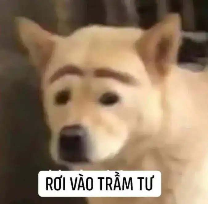 Meme hài hước về trạng thái rơi vào trầm tư suy nghĩ