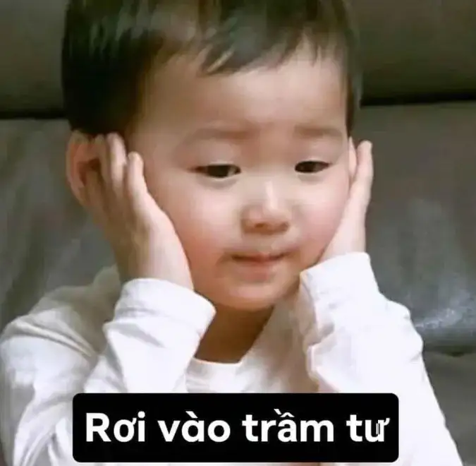 Hình ảnh meme dí dỏm diễn tả cảm giác rơi vào trầm tư